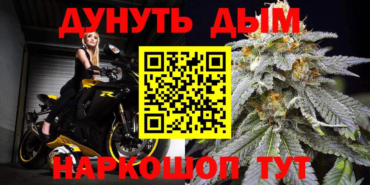 Каннабис сатива Шахты